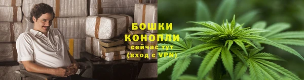 дмт Богородицк