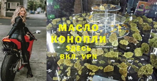 дмт Богородицк