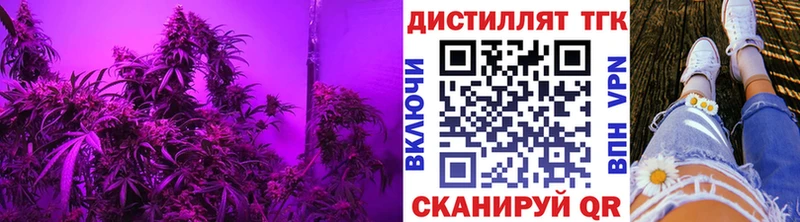 магазин  наркотиков  мега маркетплейс  Дистиллят ТГК THC oil  Верещагино 