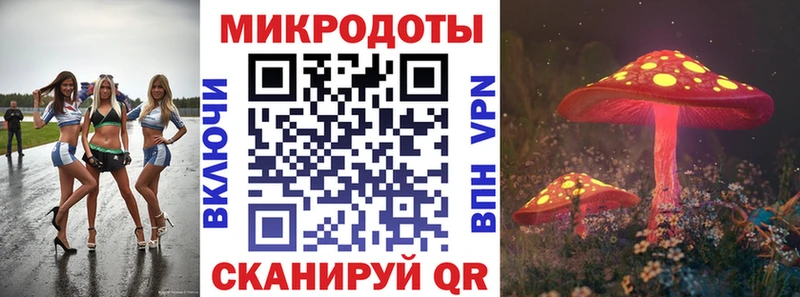 хочу   Верещагино  Галлюциногенные грибы GOLDEN TEACHER 